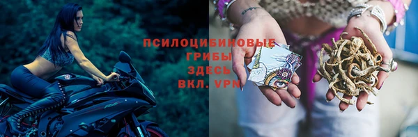 синтетический гашиш Зеленодольск