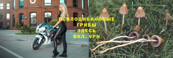 синтетический гашиш Зеленодольск