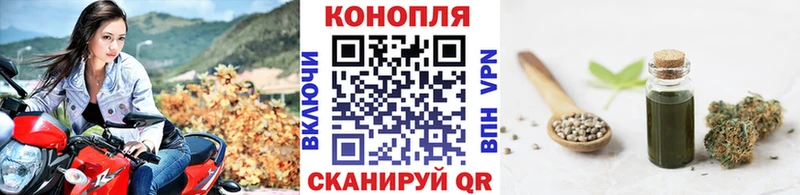 Купить  Будённовск  Бошки Шишки семена 